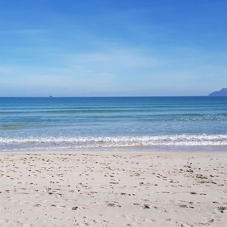 Ideal Property Mallorca - Didi Алкудия Екстериор снимка